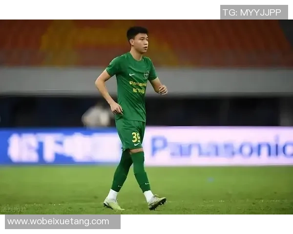 足球妖锋的崛起与传说 揭秘世界足坛几位令人惊叹的天才球员